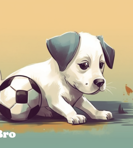 Everything About When Do Puppies Calm Down