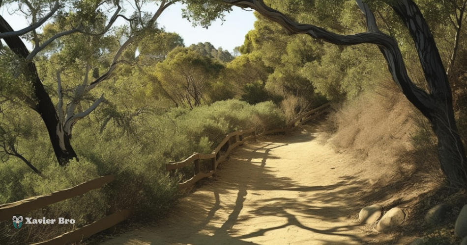 Oak Canyon Nature Center